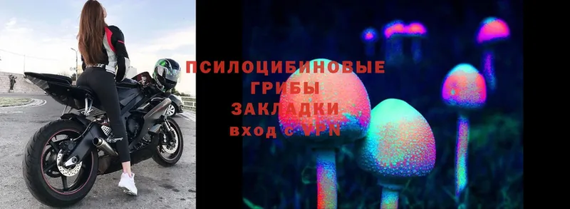 Галлюциногенные грибы MAGIC MUSHROOMS  где купить наркоту  Трубчевск 